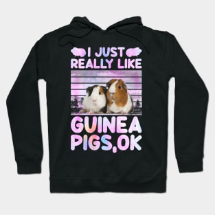 I Just Really Like Guinea Pigs Ok Hoodie